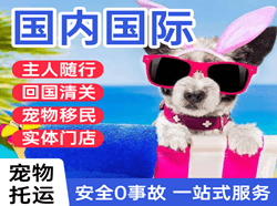 阿拉善机场物流国际宠物托运 【国